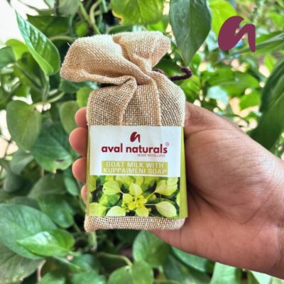 Goat milk with kuppaimeni